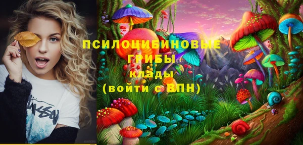 гидра Абинск