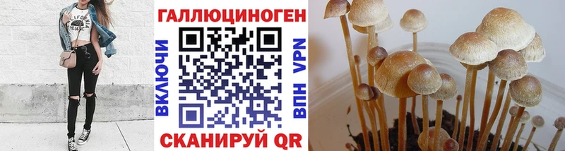 сайты даркнета какой сайт  Змеиногорск  Псилоцибиновые грибы Psilocybine cubensis  mega маркетплейс 
