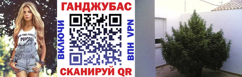 наркошоп  Змеиногорск  Конопля MAZAR 